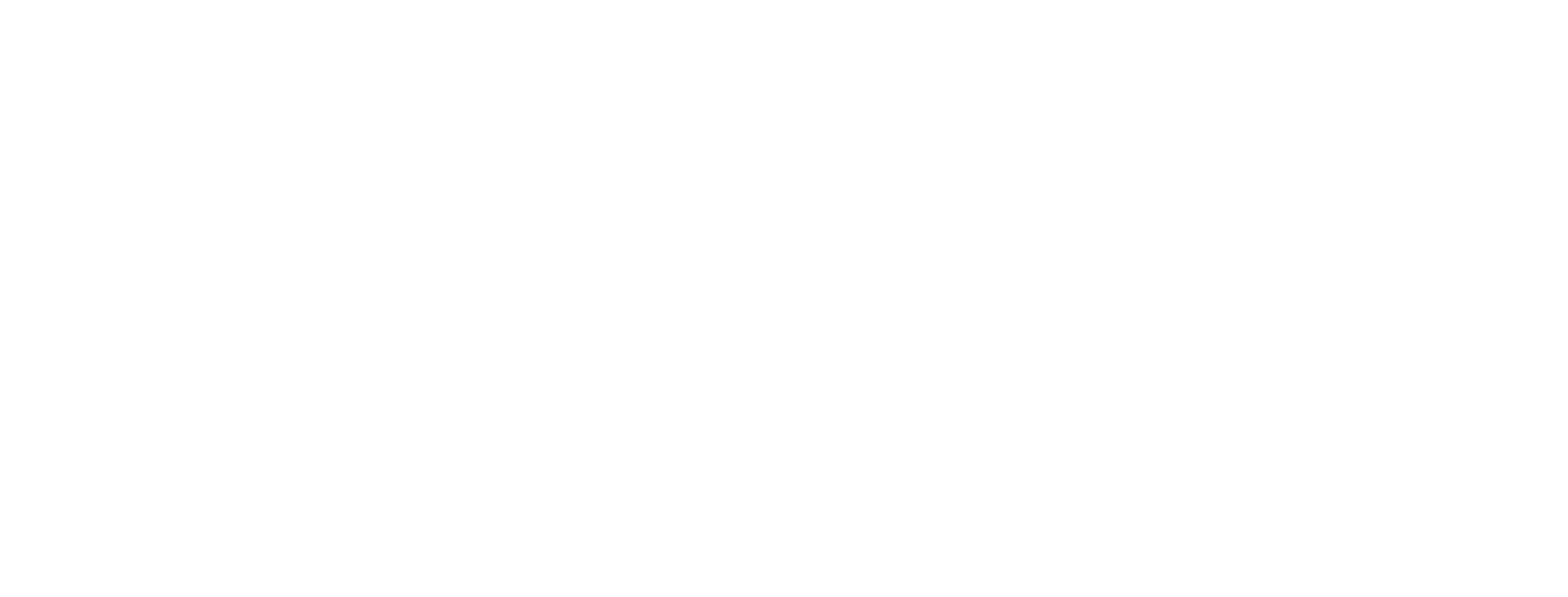 DiLeo Solution – Packaging & Communication